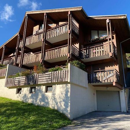 Studio 4 Couchages Avec Garage Proche Pistes - Fr-1-459-55 La Clusaz Exterior photo